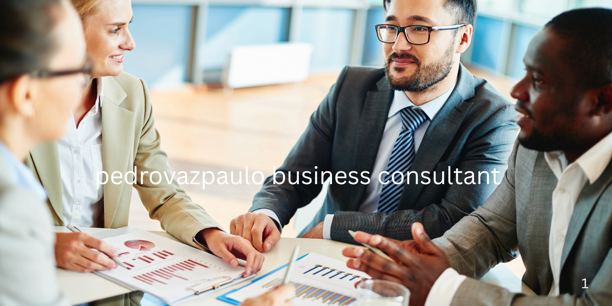pedrovazpaulo business consultant